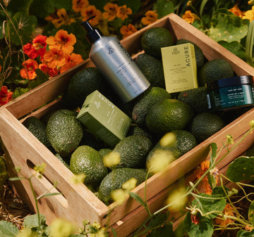 From Soil to Skin The Story Behind the Farm Collection